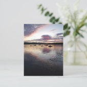 Carte Postale Southwest Harbor Postcard - 3 (Debout devant)