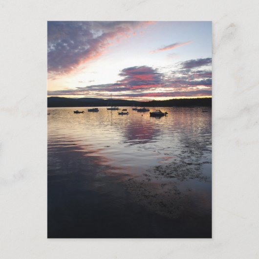 Carte Postale Southwest Harbor Postcard - 3 (Devant)