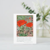 Carte Postale Souvenir (Debout devant)