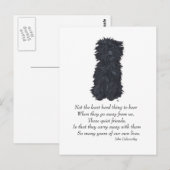Carte Postale Souvenir Affenpinscher (Devant / Derrière)