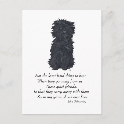 Carte Postale Souvenir Affenpinscher (Devant)