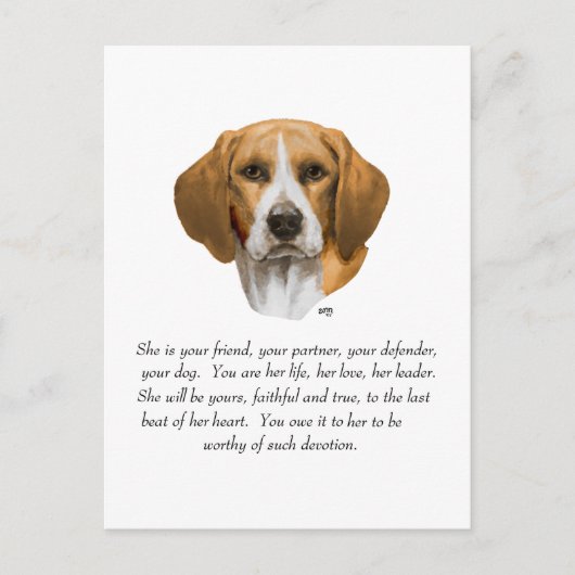 Carte Postale Souvenir Beagle (Devant)