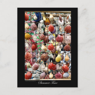 Carte Postale souvenir coquillages à Paphos Cyprus