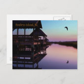 Carte postale Souvenir de Pawleys Island (Devant / Derrière)