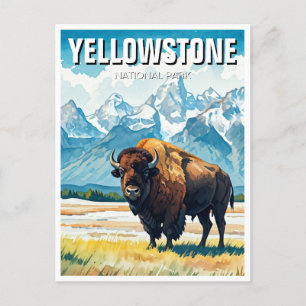 Carte Postale Souvenir du parc national de Yellowstone