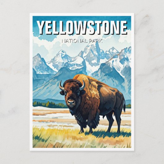 Carte Postale Souvenir du parc national de Yellowstone (Devant)