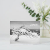 Carte postale souvenir paysage de la Laponie (Debout devant)