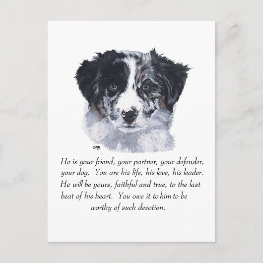Carte Postale Souvenirs Border Collie (Devant)
