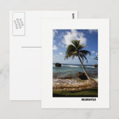 Carte Postale Souvenirs de paysage marin de Bathsheba à la Barba (Devant / Derrière)