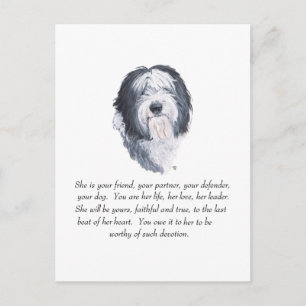 Carte Postale Souvenirs de Vieux Chien de Berger Anglais