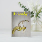 Carte Postale Soyez chanceux ! (Debout devant)