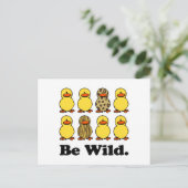 Carte Postale Soyez des canards sauvages (Debout devant)