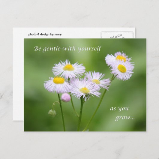 Carte Postale Soyez doux avec vous-même (Devant / Derrière)