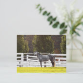 Carte Postale Soyez fier (Debout devant)