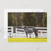 Carte Postale Soyez fier (Devant / Derrière)