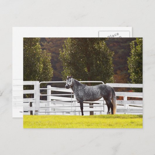 Carte Postale Soyez fier (Devant / Derrière)