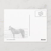 Carte Postale Soyez fier (Dos)