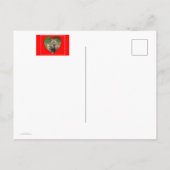 Carte Postale Soyez mes Renards Valentin (Dos)
