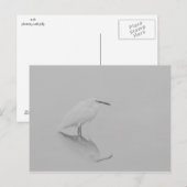 Carte Postale Soyez toujours Egret (Devant / Derrière)