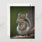 Carte Postale Soyez Très Calme (Devant / Derrière)