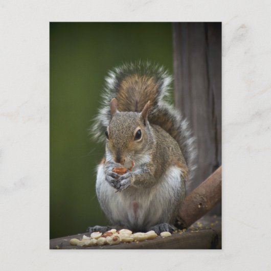 Carte Postale Soyez Très Calme (Devant)