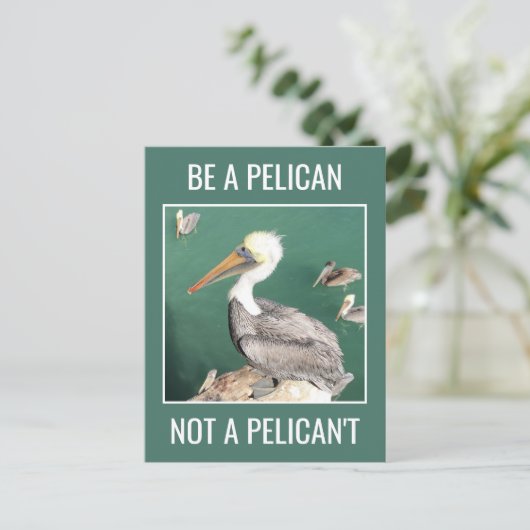 Carte Postale Soyez un Pélican, pas un Pélican't (Debout devant)