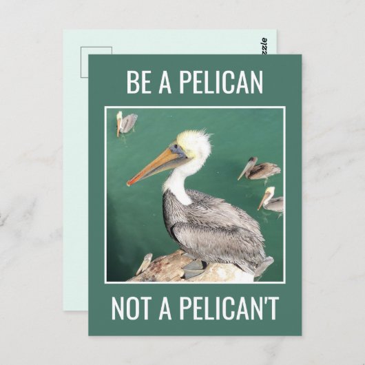 Carte Postale Soyez un Pélican, pas un Pélican't (Devant / Derrière)
