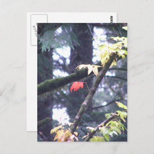 Carte Postale Soyez vous-même (Devant / Derrière)