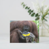 Carte Postale Soyons Amis ! ? (Debout devant)