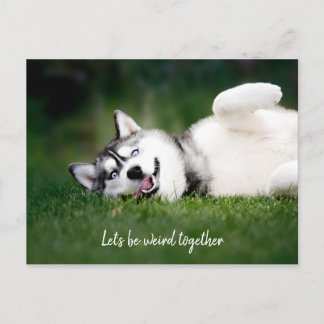 Carte Postale Soyons bizarres ensemble / Photo Husky