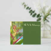 CARTE POSTALE SPA (Debout devant)