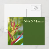 CARTE POSTALE SPA (Devant / Derrière)