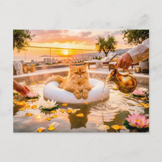 Carte Postale Spa de coucher de soleil pour chats Piscine Séréni