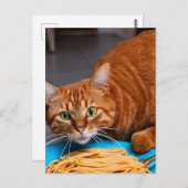 Carte Postale Spaghetti mangeant des chats de gingembre (Devant / Derrière)