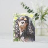 Carte Postale Spaniel Cavalier King Charles peint (Debout devant)