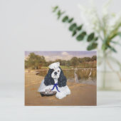 Carte Postale Spaniel Cocker Américain Marin (Debout devant)
