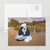 Carte Postale Spaniel Cocker Américain Marin (Devant / Derrière)