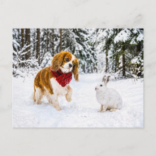 Carte Postale Spaniel rencontre un lièvre des neiges dans une fo