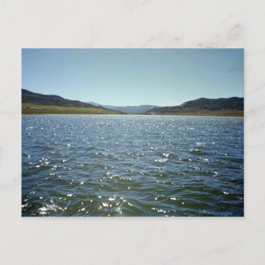 Carte postale Sparkles (Devant)