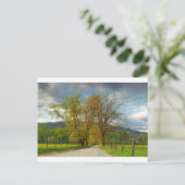 Carte Postale Sparks Lane Cades Cove (Debout devant)