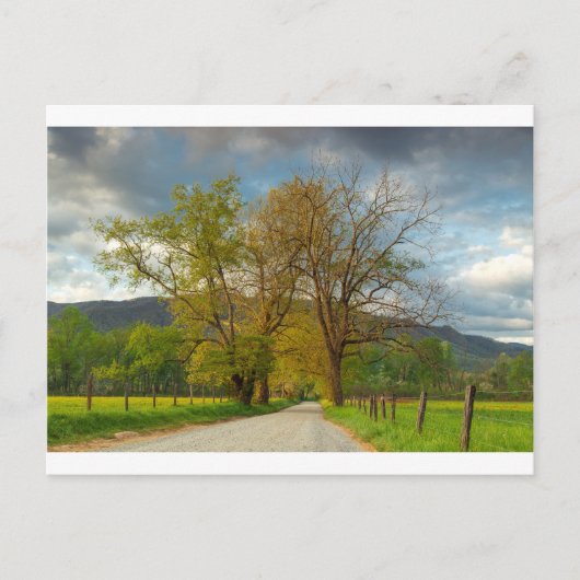Carte Postale Sparks Lane Cades Cove (Devant)