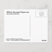 Carte postale Sparrow (Dos)