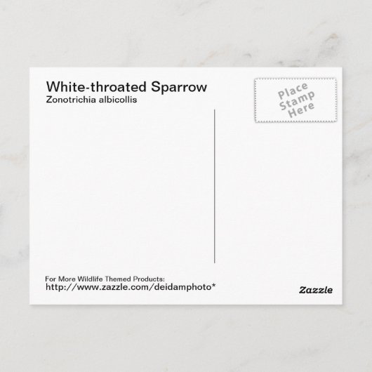 Carte postale Sparrow (Dos)