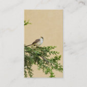 Carte postale Sparrow (Devant)