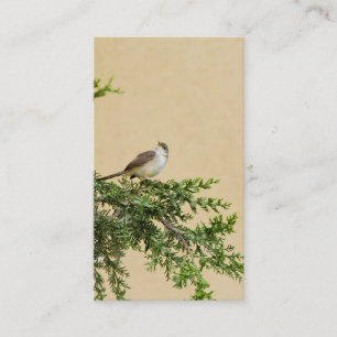 Carte postale Sparrow