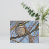 Carte postale Sparrow d'hiver (Debout devant)