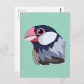 Carte Postale Sparrow Java simplifié (Devant / Derrière)