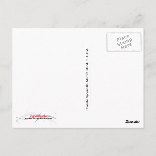 Carte Postale Spatule rosée (Dos)