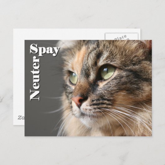 Carte Postale Spay / Neuter (Devant / Derrière)