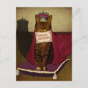 Carte postale spéciale King Cat